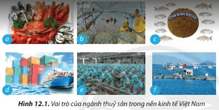 Công nghệ 7 Bài 12: Ngành thuỷ sản ở Việt Nam