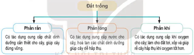 Công nghệ 7 Bài 2: Làm đất trồng cây