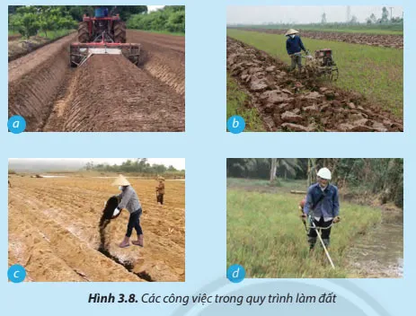 Công nghệ 7 Bài 3: Quy trình trồng trọt