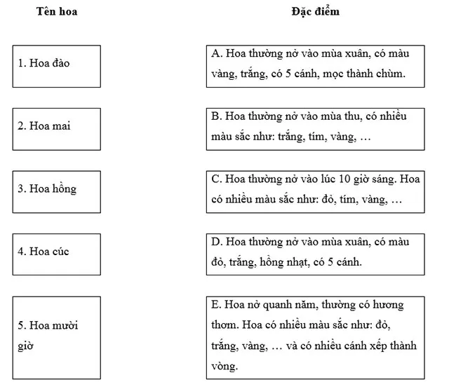 Công nghệ lớp 4 Bài 2: Một số loại hoa phổ biến