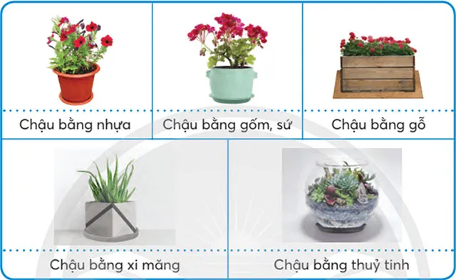 Công nghệ lớp 4 Bài 2: Vật liệu, dụng cụ trồng hoa và cây cảnh trong chậu