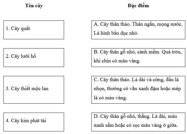 Công nghệ lớp 4 Bài 3: Một số loại cây cảnh phổ biến