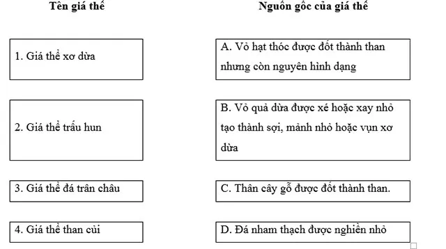 Công nghệ lớp 4 Bài 4: Chậu và giá thể trồng hoa, cây cảnh