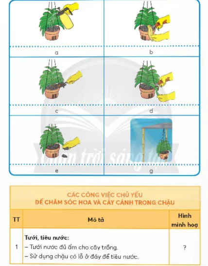 Công nghệ lớp 4 Bài 5: Chăm sóc hoa, cây cảnh trong chậu