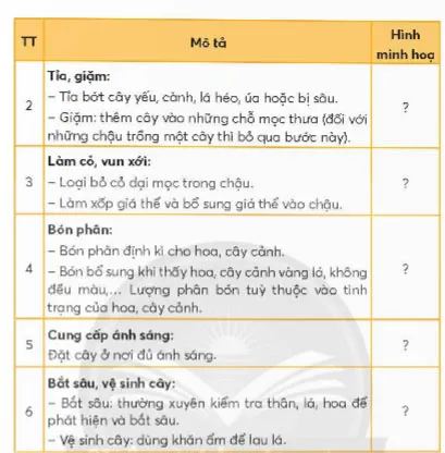 Công nghệ lớp 4 Bài 5: Chăm sóc hoa, cây cảnh trong chậu