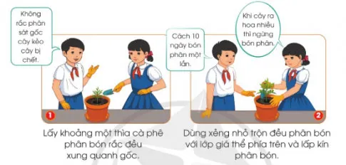 Công nghệ lớp 4 Bài 6: Trồng và chăm sóc hoa trong chậu