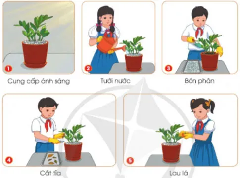 Công nghệ lớp 4 Bài 7: Trồng và chăm sóc cây cảnh trong chậu