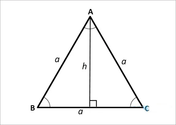 Công thức tính đường cao trong tam giác