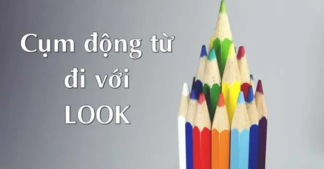 Cụm động từ với Look