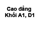 Đáp án đề thi cao đẳng môn Anh