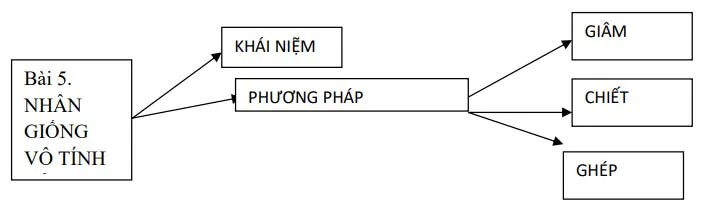 Đề cương ôn tập giữa học kì 1 môn Công nghệ 7 năm 2023 – 2024 (Sách mới)