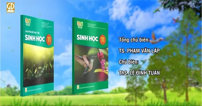 Đề cương ôn tập giữa học kì 1 môn Sinh học 11 sách Kết nối tri thức với cuộc sống