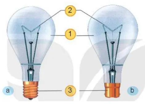 Đề cương ôn tập giữa học kì 2 môn Công nghệ 6 sách Kết nối tri thức với cuộc sống