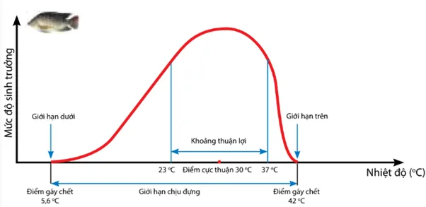 Đề cương ôn tập giữa học kì 2 môn Khoa học tự nhiên 7 năm 2023 – 2024 (Sách mới)