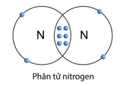 Đề cương ôn tập học kì 1 môn Khoa học tự nhiên 7 năm 2023 – 2024 (Sách mới)