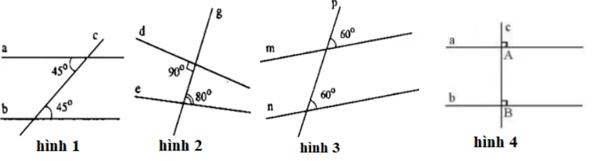 Đề cương ôn tập học kì 1 môn Toán 7 sách Chân trời sáng tạo