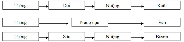 Đề cương ôn tập học kì 2 môn Khoa học lớp 5 năm 2023 – 2024