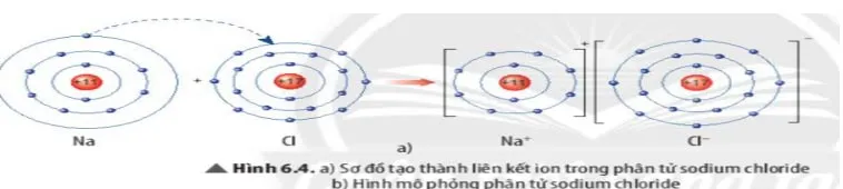 Đề cương ôn tập học kì 2 môn Khoa học tự nhiên 7 năm 2023 – 2024 (Sách mới)