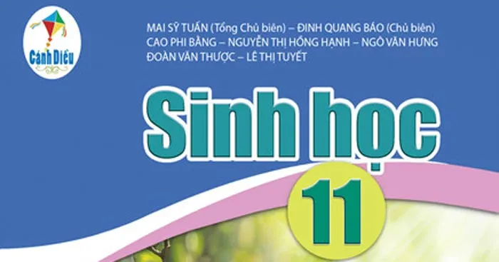 Đề cương ôn tập học kì 2 môn Sinh học 11 sách Cánh diều