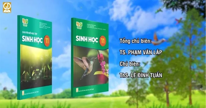 Đề cương ôn tập học kì 2 môn Sinh học 11 sách Kết nối tri thức với cuộc sống