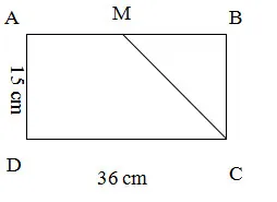 Đề cương ôn tập học kì 2 môn Toán lớp 5 năm 2023 – 2024