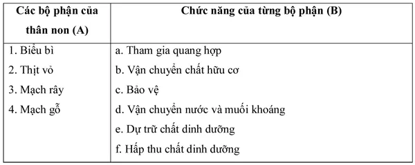 Đề kiểm tra học kì I lớp 6 môn Sinh học – Đề số 1