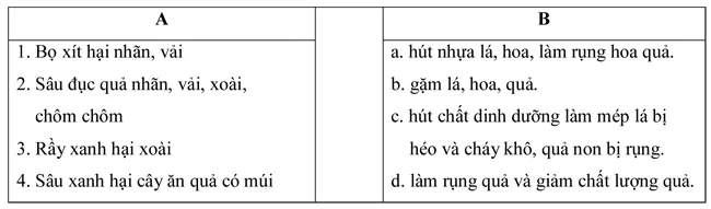 Đề kiểm tra học kì II lớp 9 môn Công nghệ – THCS Nguyễn Huệ, Khánh Hòa