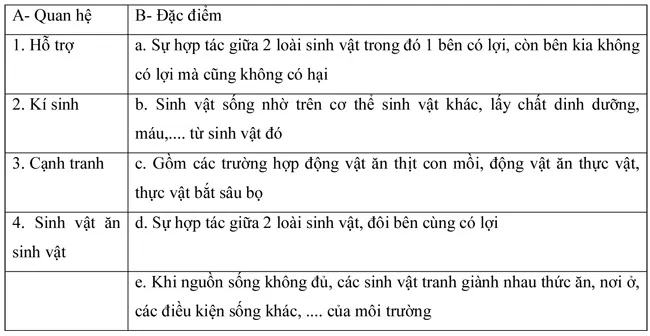 Đề kiểm tra học kì II lớp 9 môn Sinh học – Trường THCS Đồng Nai, Lâm Đồng