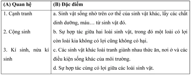 Đề kiểm tra học kì II lớp 9 môn Sinh học – Trường THCS Nguyễn Huệ, Khánh Hòa