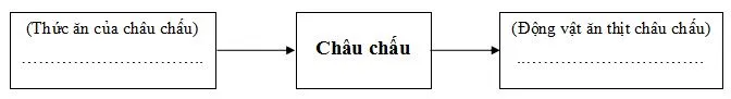 Đề thi học kì 2 môn Khoa học lớp 4 năm học 2016 – 2017 theo Thông tư 22