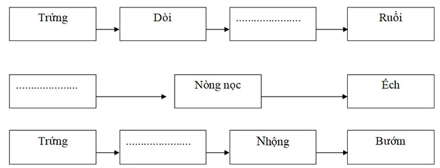 Đề thi học kì 2 môn Khoa học lớp 5 có bảng ma trận đề thi