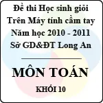 Đề thi học sinh giỏi giải toán trên máy tính cầm tay năm học 2010 – 2011 môn Toán khối 10