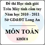 Đề thi học sinh giỏi giải toán trên máy tính cầm tay năm học 2010 – 2011 môn Toán khối 8