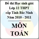 Đề thi học sinh giỏi lớp 12 THPT tỉnh Bắc Ninh môn Toán (năm học 2010 – 2011)