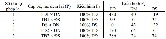 Đề thi học sinh giỏi Quốc gia môn Sinh học lớp 12 năm 2011 – Có đáp án (Ngày thi thứ hai)