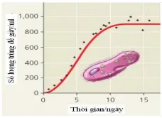 Đề thi học sinh giỏi Quốc gia môn Sinh học lớp 12 năm 2011 – Có đáp án (Ngày thi thứ hai)