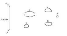 Đề thi học sinh giỏi Quốc gia môn Sinh học lớp 12 năm 2011 – Có đáp án (Ngày thi thứ hai)