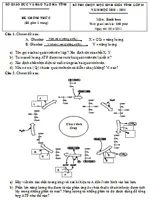 Đề thi học sinh giỏi tỉnh Hà Tĩnh môn Sinh học lớp 10 năm học 2010 – 2011