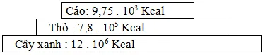 Đề thi thử Đại học năm 2013 – môn Sinh học (Đề 18)