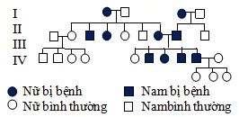 Đề thi thử Đại học năm 2013 – môn Sinh học (Đề 19)