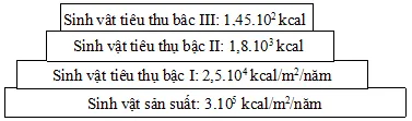 Đề thi thử Đại học năm 2013 – môn Sinh học (Đề 21)