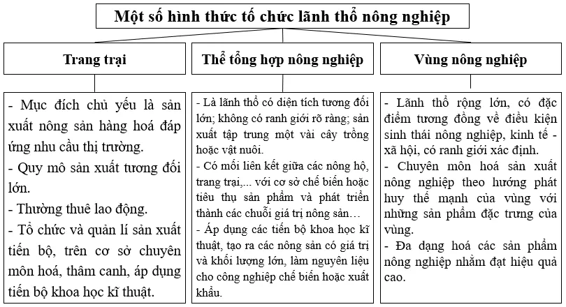 Địa lí 10 Bài 22: Tổ chức lãnh thổ nông nghiệp