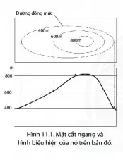 Địa lí 6 Bài 11: Thực hành đọc lược đồ địa hình tỉ lệ lớn và lát cắt địa hình đơn giản