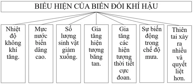 Địa lí 6 Bài 14: Biến đổi khí hậu và ứng phó với biến đổi khí hậu