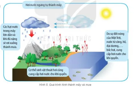 Địa lí 6 Bài 16: Nhiệt độ không khí. Mây và mưa