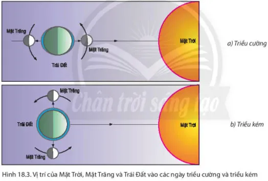 Địa lí 6 Bài 18: Biển và đại dương