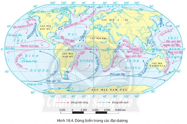 Địa lí 6 Bài 18: Biển và đại dương