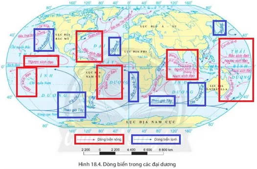 Địa lí 6 Bài 18: Biển và đại dương