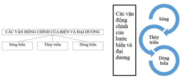 Địa lí 6 Bài 18: Biển và đại dương