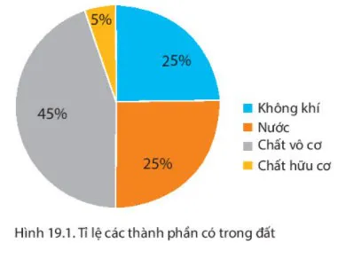 Địa lí 6 Bài 19: Lớp đất và các nhân tố hình thành đất. Một số nhóm đất điển hình